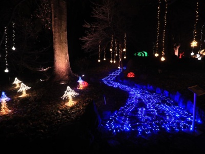 Popularna atrakcja znów zawita w Warszawie. Kup bilety wcześniej, a sporo zaoszczędzisz