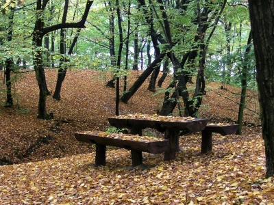 Spokojna, ale chłodna niedziela. Czy będzie padać?