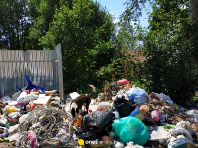 Miliony euro trafiają na śmietnik. W kraju wrze. 