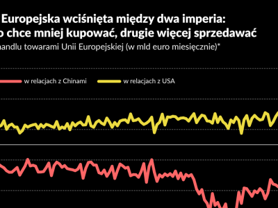 Koniec dominacji ekonomii nad polityką. Europa szuka dla siebie miejsca