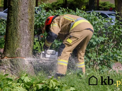 Nawet 50 000 zł kary za samowolkę w ogrodzie. Własny ogród nie daje pełnej wolności