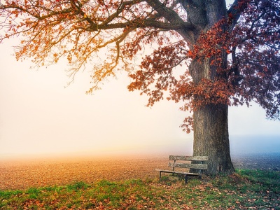 Jesień z niespodzianką – po mroźnym weekendzie nadchodzi słońce i 20°C
