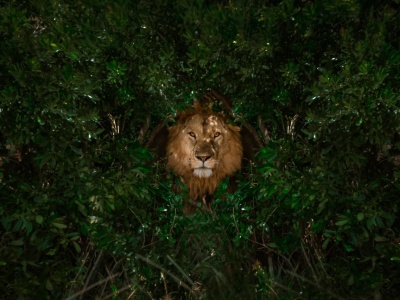 ING z dużą zmianą dotyczącą przelewów. Mieli dość narzekania klientów