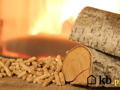 Ten proceder winduje ceny pelletu na nowe szczyty. Dane są szokujące