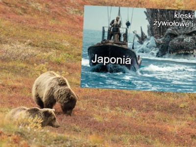 Japonia: niedźwiedzie przed snem zimowym zaczęły atakować ludzi na rekordową skalę