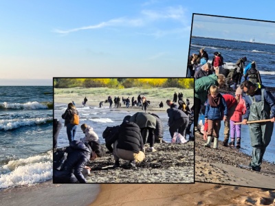 Tłumy na plaży w Mikoszewie. Wszyscy przyszli w jednym celu