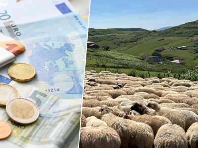 Rząd blokuje wypłatę dopłat dla 25 tys. rolników. „Działamy dla dobra rolnictwa”