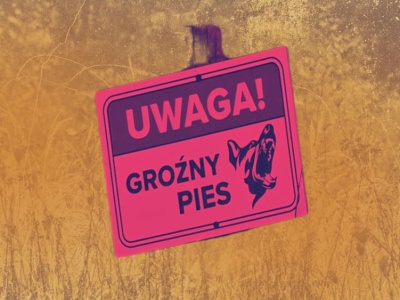 To tu psy rzuciły się na 46-letniego Marcina. Mieszkańcy opowiadają wstrząsające historie