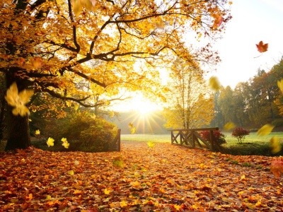 Początek tygodnia ze złotą polską jesienią. Poniedziałek pogodny, ale jaka będzie temperatura?