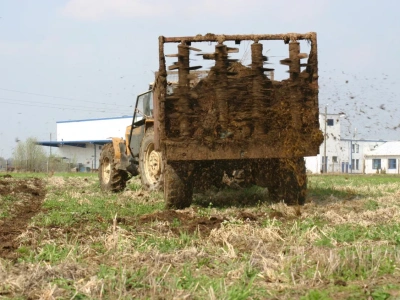 Import obornika z Holandii wzrósł o 40%. Gdzie trafia obornik?