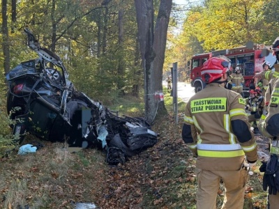 Koszmarny wypadek na Dolnym Śląsku. Auto w strzępach, w środku makabryczne odkrycie