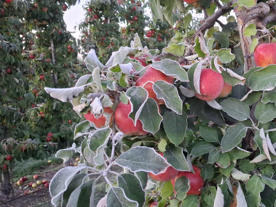 Mroźny poranek 20.10.2025. Gdzie było najzimniej?