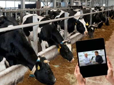 Od odchowu cieląt po wydajną i efektywną produkcję mleka