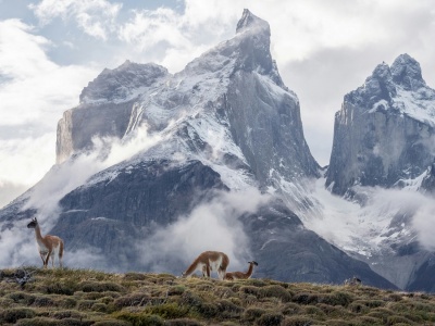 Tajemnicze kamienne mury w Andach. Archeolodzy rozwiązali ich zagadkę