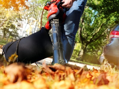 Co zrobić z masą spadających liści w ogrodzie? Sprawdzamy wydajne odkurzacze do liści
