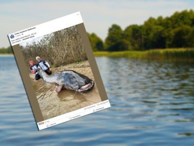 Prawie 3 metry w rękach Polaków. Polscy wędkarze ustanowili rekord świata