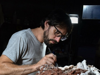 Nowe odkrycie w Andach. Tak zaczęły się giganty. Biegały szybko jak wiatr