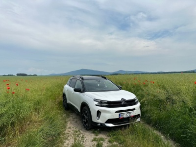 Odkryj uroki złotej polskiej jesieni z wypożyczalnią samochodów Kaizen Rent u boku