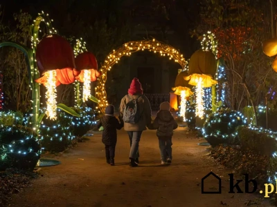Lada moment w Warszawie pojawi się wyjątkowa atrakcja. To murowany hit sezonu zimowego!