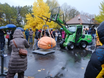 Wyhodowali ponad półtonową dynię w Powsinie. Konkurencja była niemała