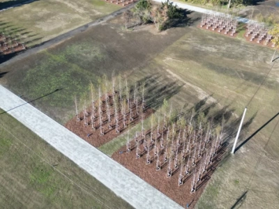 Tak powiększa się Park Szczytnicki. Mamy zdjęcia z lotu ptaka