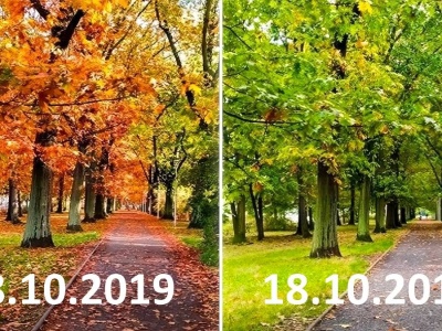 Od 21 lat robimy zdjęcie w tym samym dniu. Zaskakujące porównanie rok po roku