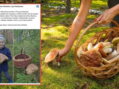 Takiego olbrzyma znalazła pani Olga w lesie. 