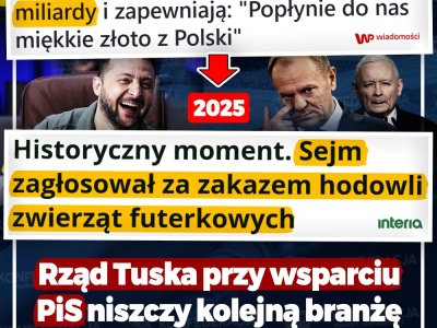 Wielkie „osiągnięcie” Tuska