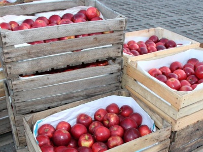 Ceny jabłek deserowych na Broniszach i innych rynkach