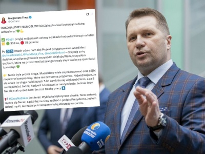 Przemysław Czarnek oburzony zakazem hodowli na futra, tłumaczy, że zwierzęta 