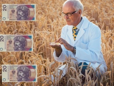 Skupy zaniżają ceny zbóż? Rolnicy mają pomysł, jak z tym skończyć