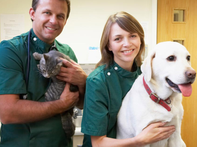 Holistyczny weterynarz ujawnia wpływ Big Pharmy na medycynę weterynaryjną