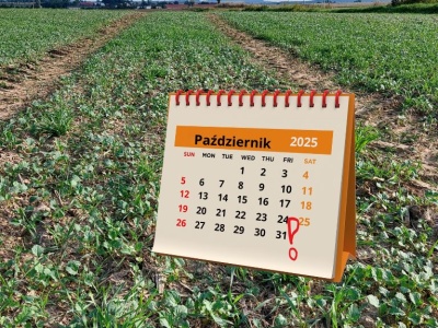 Uwaga rolnicy! Zostało kilka dni na opłacenie składek KRUS