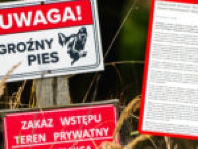 Psy śmiertelnie pogryzły mężczyznę w Zielonej Górze. Policja wydała oświadczenie