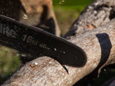 Powstanie nowa ścieżka rowerowa. W planach jest wycięcie drzew i krzewów