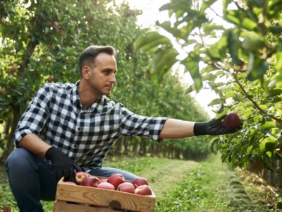 Bruksela chce odmłodzić branżę rolniczą. Na czym polega unijny plan?