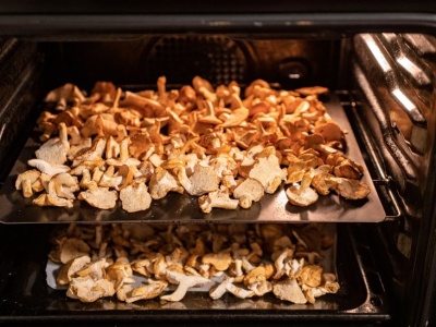 Grzyby susz dokładnie w takiej temperaturze. Długo będą smaczne i aromatyczne