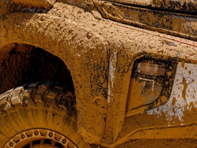 NATO sięga po naturę. Bagna jako nowa linia obrony Polski