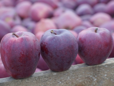 Zamiast pieniędzy do ręki – mniej do oddania państwu. Na taką pomoc liczą rolnicy