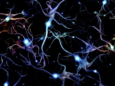 Pocałunek neuronów nagrany. Zagadka sprzed 50 lat rozwiązana