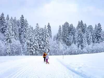Jakie kozaki chłopięce na zimę kupić dziecku?