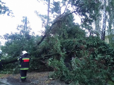 Uwaga! Silny wiatr może dać się we znaki w naszym regionie