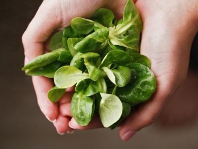 To idealny moment na wysiew tej rośliny. Świetnie wpływa na serce i wzrok