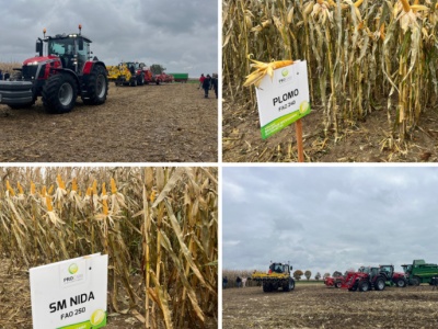 Prezentacja odmian kukurydzy wraz z ich zbiorem i uprawą pożniwną