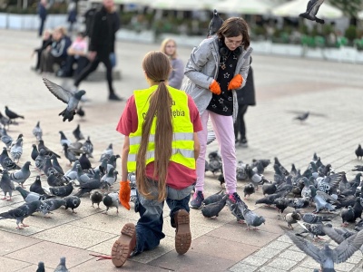 Na Rynku Głównym odławiano chore gołębie. Fundacje rozpoczęły akcję ratunkową (ZDJĘCIA)