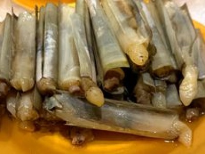 Nazwa wzbudza niepokój, ale ich smak robi wrażenie. Zawierają sporo białka i mało tłuszczu