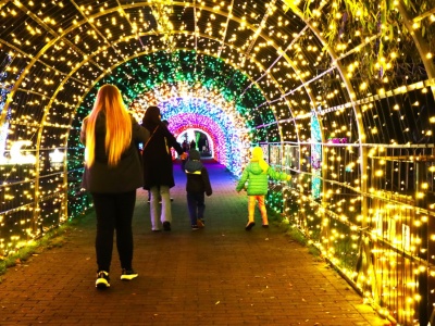 Ogród Świateł w Krakowie. To miejsce robi wrażenie