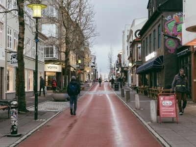Komary dotarły na Islandię pierwszy raz w historii. W kraju poruszenie