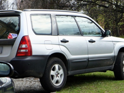 Mandat za parkowanie na trawniku może zaboleć. Kierowcy lekceważą przepis