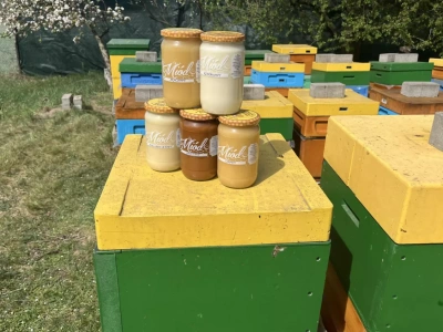 Prawdziwy miód – gdzie kupić i jak rozpoznać?